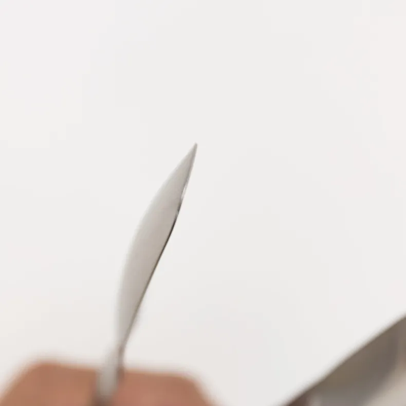 Otegaru Stainless Steel Tongs