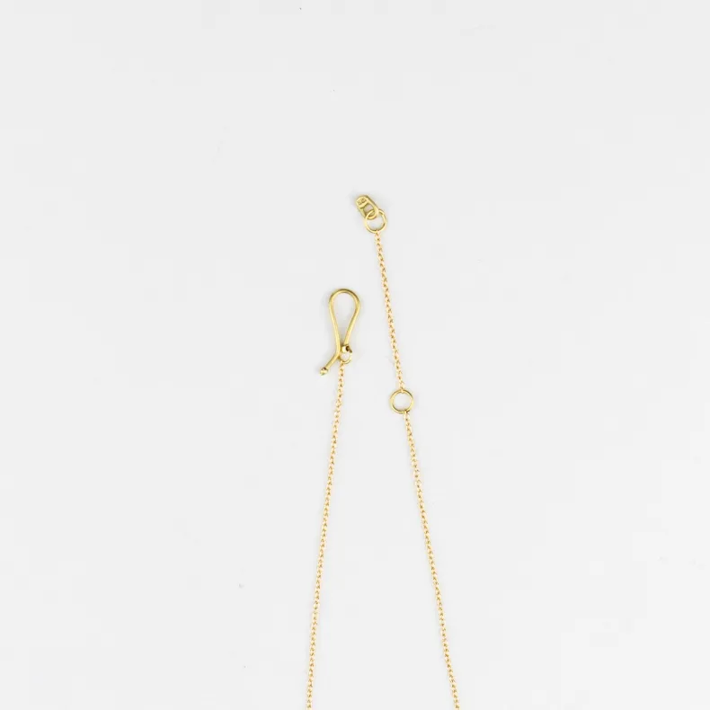 Black Barc 'Ishi' Apatite Necklace