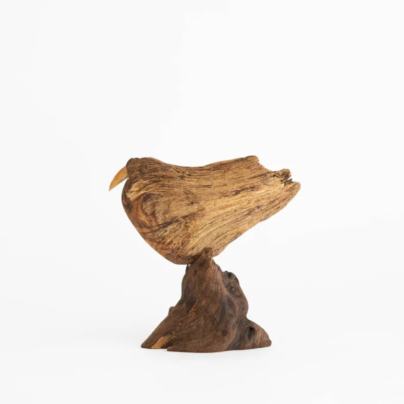 Osamu Harihara Driftwood Birds