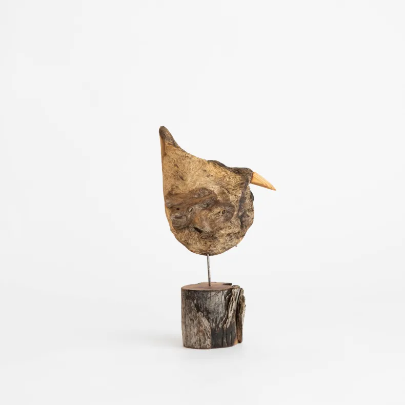Osamu Harihara Driftwood Birds