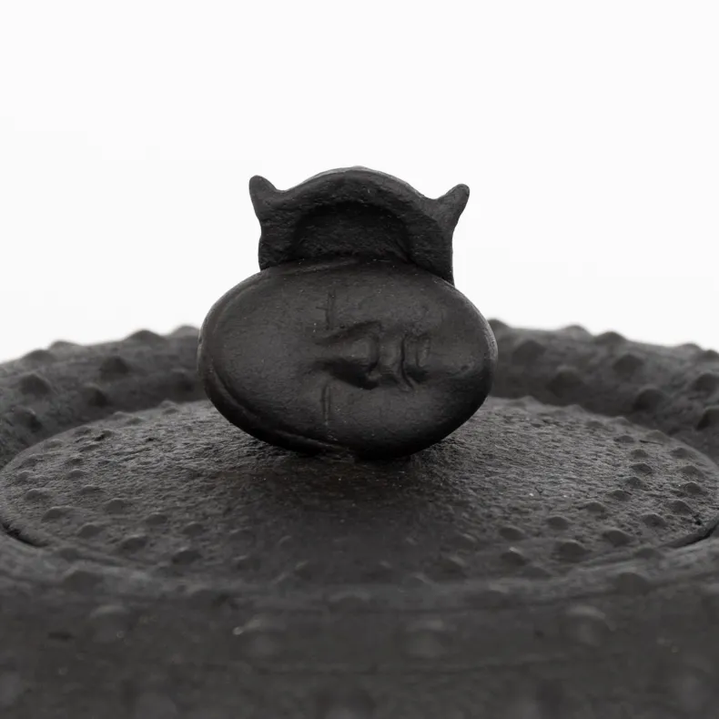 Kamasada Iron Kettles