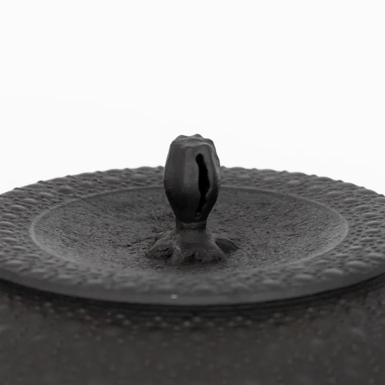 Kamasada Iron Kettles