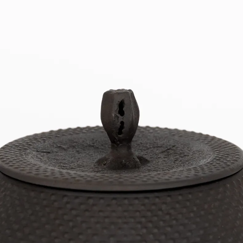 Kamasada Iron Kettles