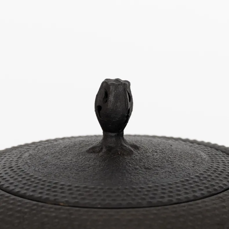 Kamasada Iron Kettles