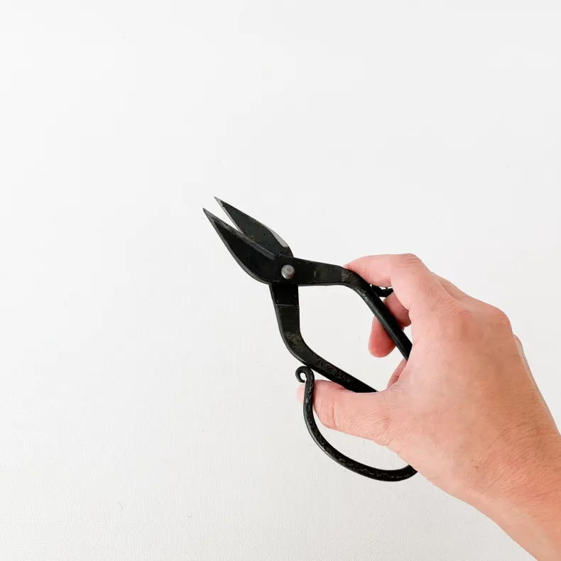 Tajika Branch Scissors