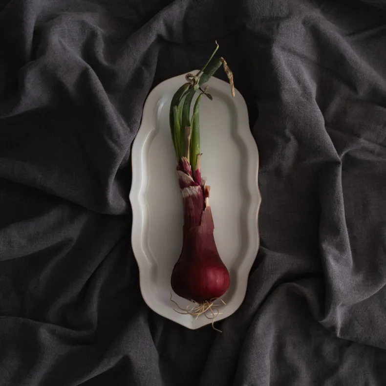 Novem Tsukidashi Plate