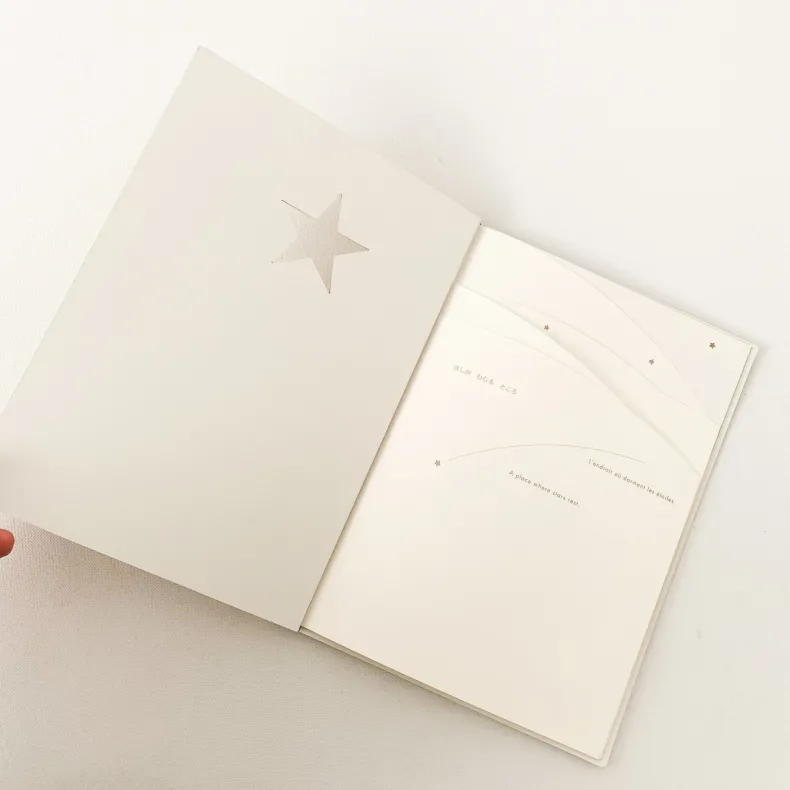 A Place Where Stars Rest' by Katsumi Komagata