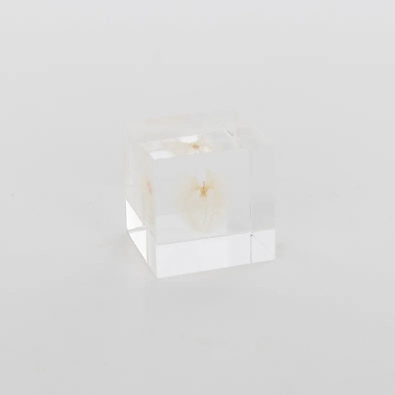 Sola Cube - Apple of Peru