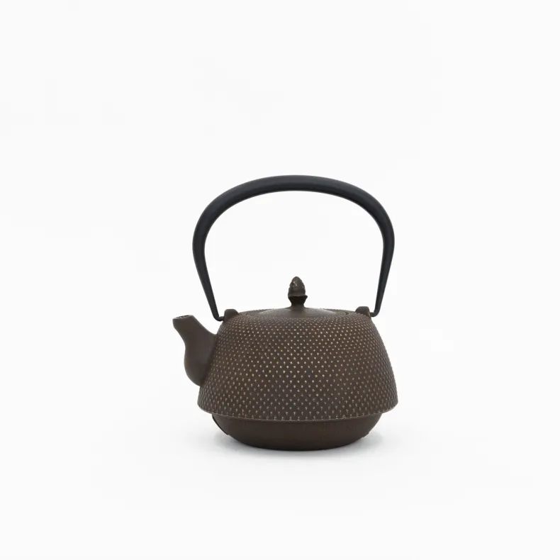 Nambu Tekki Cast Iron Teapot with Strainer - Arare