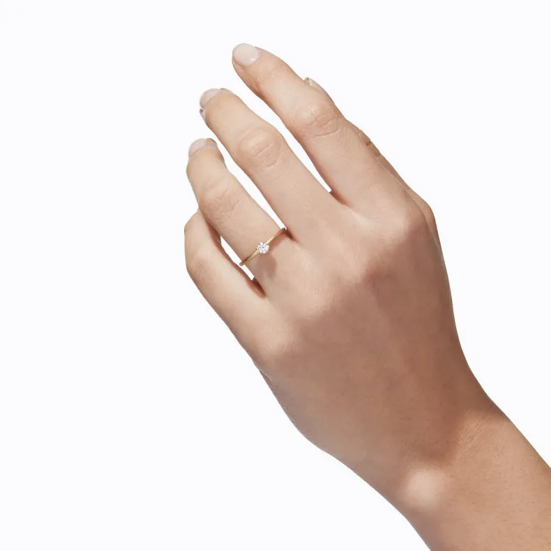 Shihara Classic Ring 02