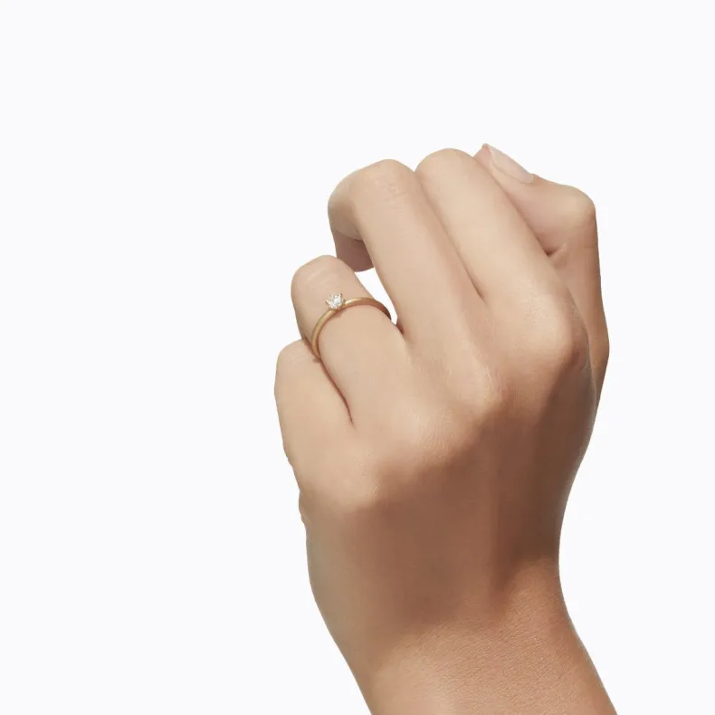 Shihara Classic Ring 02