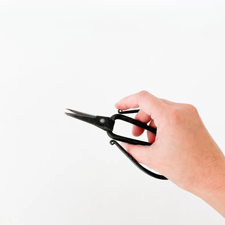 Tajika Flower Scissors