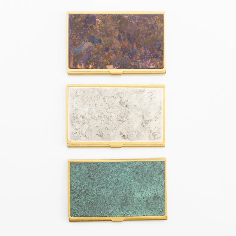 Picus Corrosion Card Case